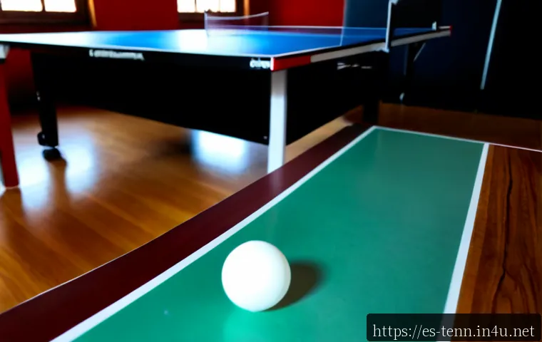 Herramientas para entrenar la continuidad en tenis de mesa: qué comprar según tu espacio y objetivo 3 탁구 랠리 연습 도구 관련 이미지 1