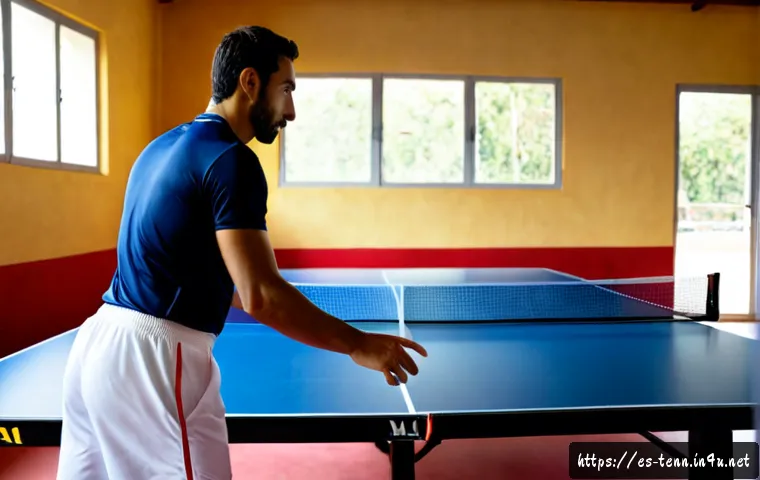 Cómo leer el juego de las estrellas del tenis de mesa y adaptar sus patrones a tu nivel 3 탁구 유명 선수의 플레이 분석 관련 이미지 1
